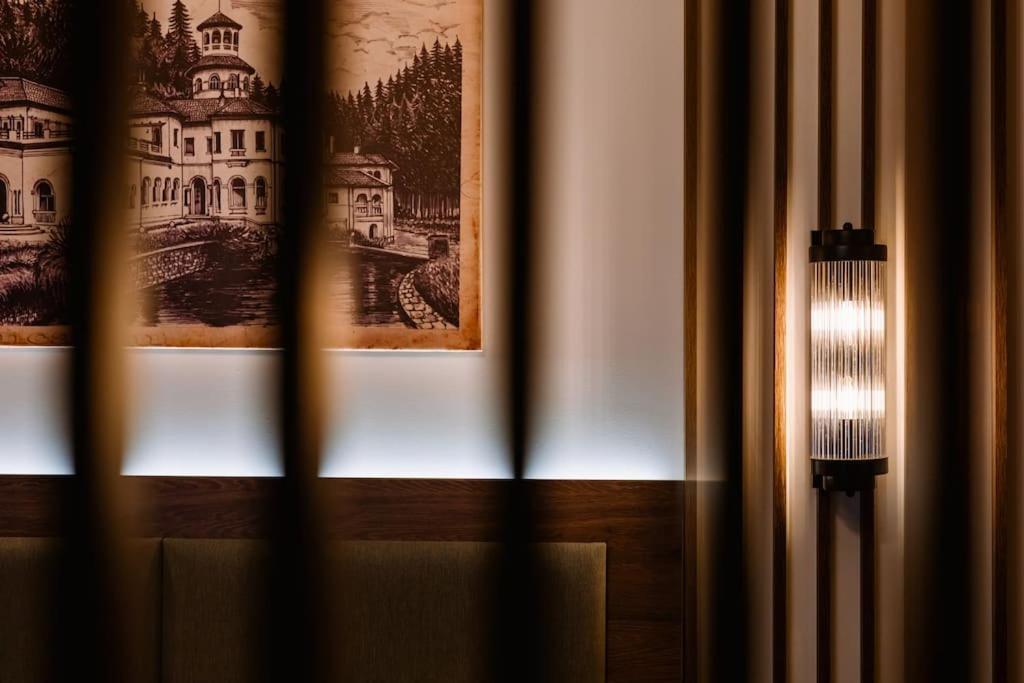 Eliss Studio Sinaia Eksteriør billede